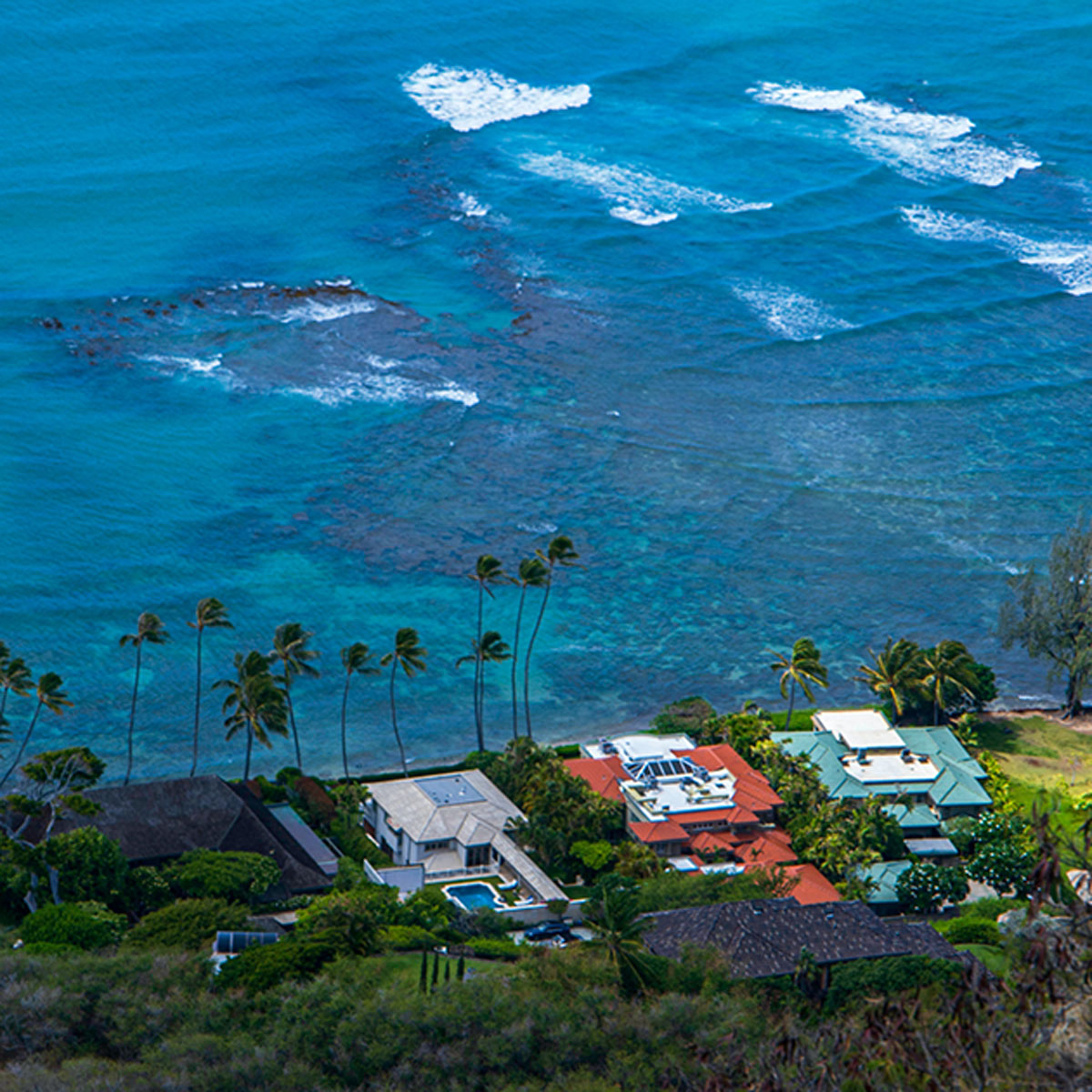 Cases-Honolulu-Square.jpg