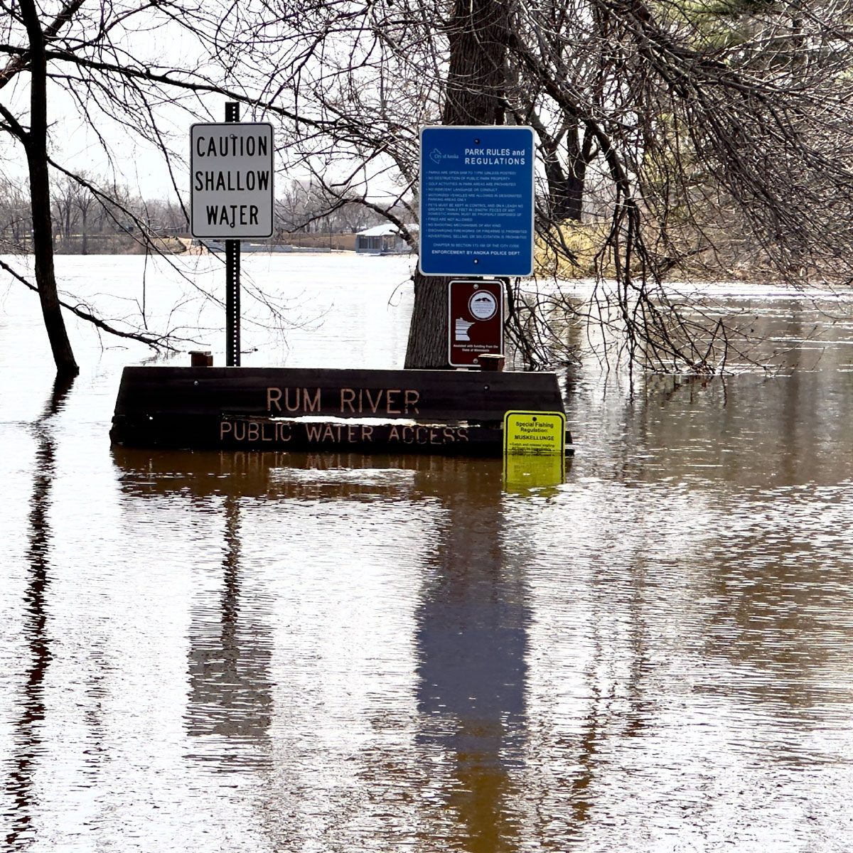 Cases-Minnesota-Square.jpg