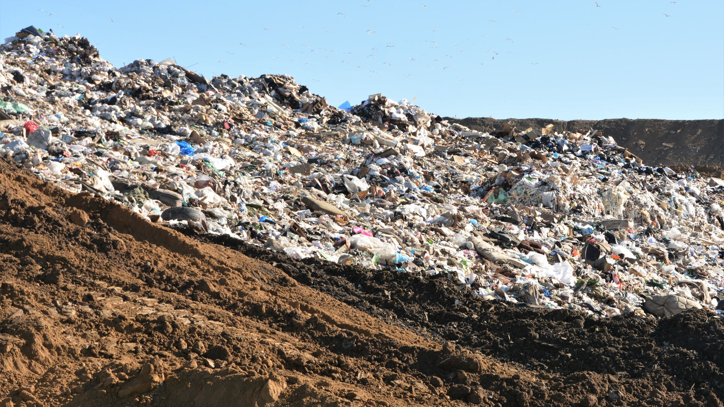 News-2026-1028-Plastics-iStock-1210215383.png