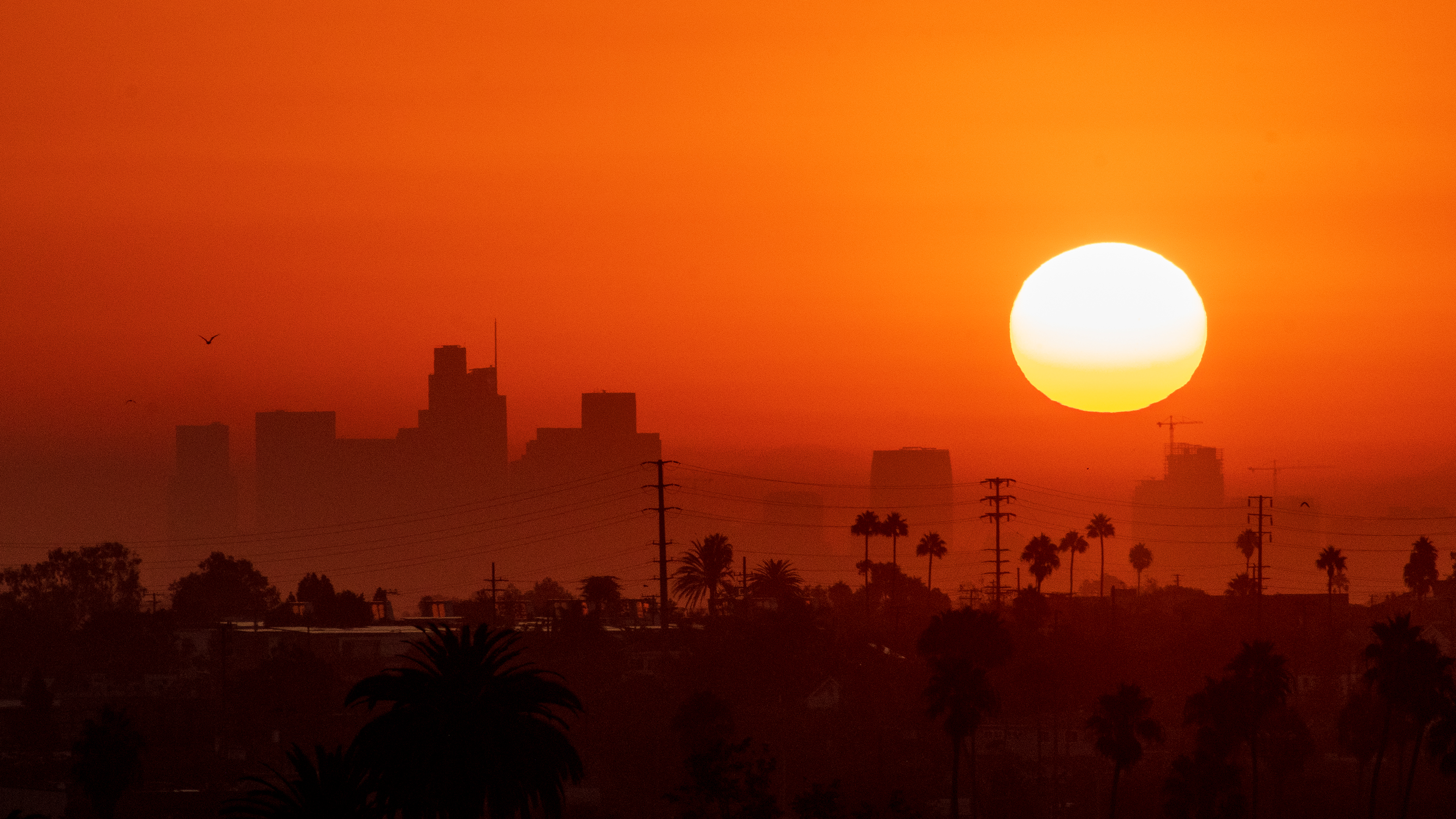 Reports_Thumb_LosAngelesCounty.png